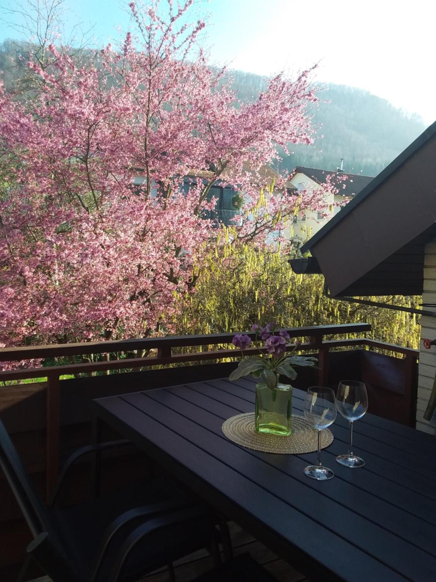 Sterngaessle Apartment Deggingen Luaran gambar